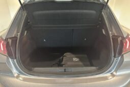 
										PEUGEOT E-208 full									