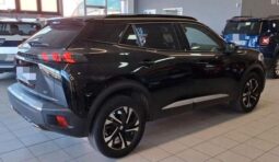 
										Peugeot 2008 full									