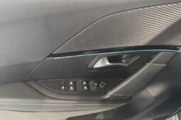 
										PEUGEOT E-208 full									
