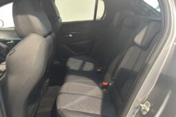 
										PEUGEOT E-208 full									