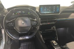 
										PEUGEOT E-208 full									