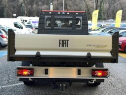 
										FIAT DUCATO full									