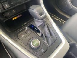 
										Toyota RAV4 Hybride full									