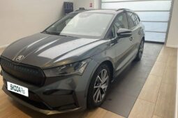 
										SKODA ENYAQ full									